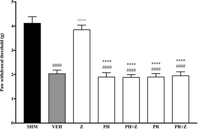 Zerumbone Modulates α2A-Adrenergic, TRPV1, and NMDA NR2B Receptors Plasticity in CCI-Induced Neuropathic Pain In Vivo and LPS-Induced SH-SY5Y Neuroblastoma In Vitro Models